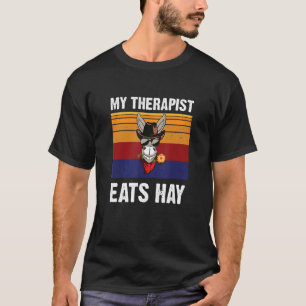 Camiseta Meu Terapista Come Cavalo Vintage Colorido