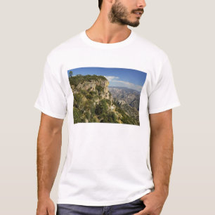 Camiseta México, estado de Chihuahua, Canyon de cobre. EST