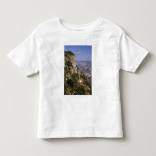 Camiseta México, Estado de Chihuahua, Canyon de Cobre. ESTE