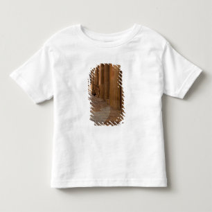 Camiseta México, San Miguel de Allende, Calçada com