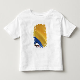 Camiseta México, San Miguel de Allende. Igreja enquadrada