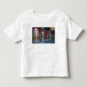 Camiseta México, San Miguel de Allende, O Jardin,