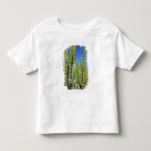 Camiseta México, Sonora, San Carlos. Pipe de Saguaro e Org