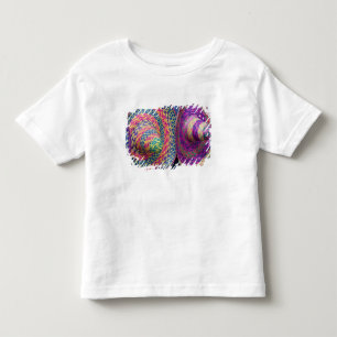 Camiseta México, Yucatán, Mérida, tecidos tradicionais