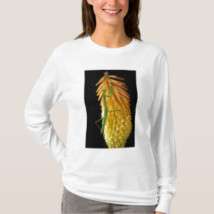 Camiseta Michigan, Rochester Hills. Louva-a-deus no Vermelh