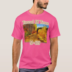 Camiseta Michigander Excelente Lagos M-119 Túnel De T