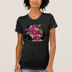Camiseta Miltonioda Sakura
