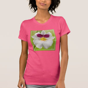 Camiseta Miltoniopsis Roezlii (orquídeas de amor perfeito)
