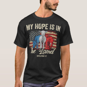Camiseta Minha Esperança Está Na Escritura De Lambe Engraça