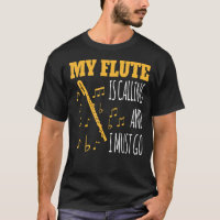 Minha Flauta Está Ligando E Preciso Ir Para A Flau