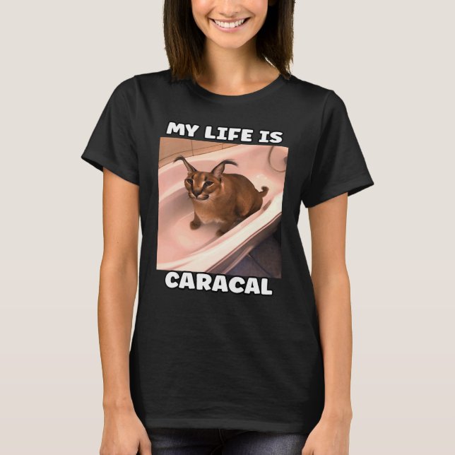 Camiseta Minha vida é Caracal Meme Cat (Frente)