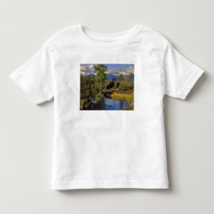 Camiseta Mission Creek no National Bison Range em
