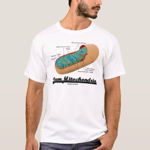 Camiseta Mitocôndria da equipe (humor de Mitochondrion)