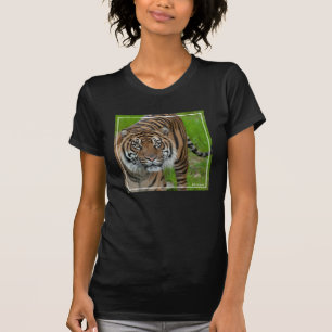 Camiseta modelo