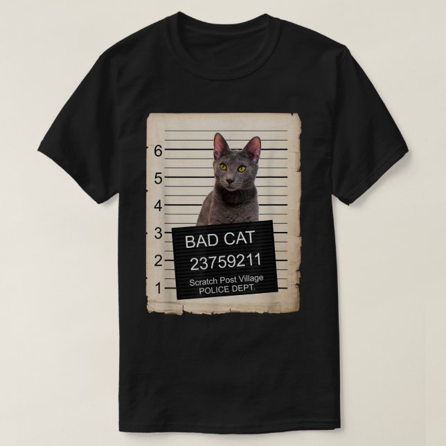 Camiseta Molho de Kitten Azul Russo baleado Gato ruim (Frente do Design)