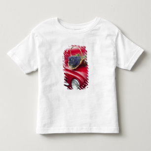 Camiseta Molhos de lavanda descansam em velho caminhão de f