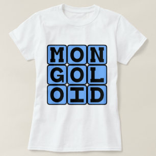 Camiseta Mongolóide, Termo Ofensivo