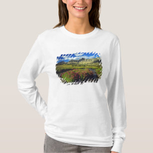 Camiseta Monkeyflowers em Logan Pass no Glacier National