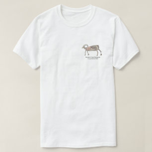 Camiseta Montanha de Goat Petroglicph