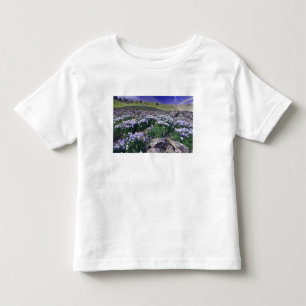 Camiseta Montanhas e flores silvestres em prado alpino,