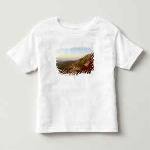 Camiseta Montanhês rochoso, flores vermelhas, parque