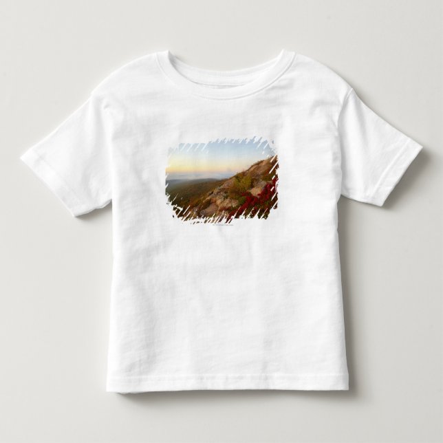 Camiseta Montanhês rochoso, flores vermelhas, parque (Frente)