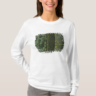 Camiseta Monte Ashland, Floresta Nacional Rogue River,