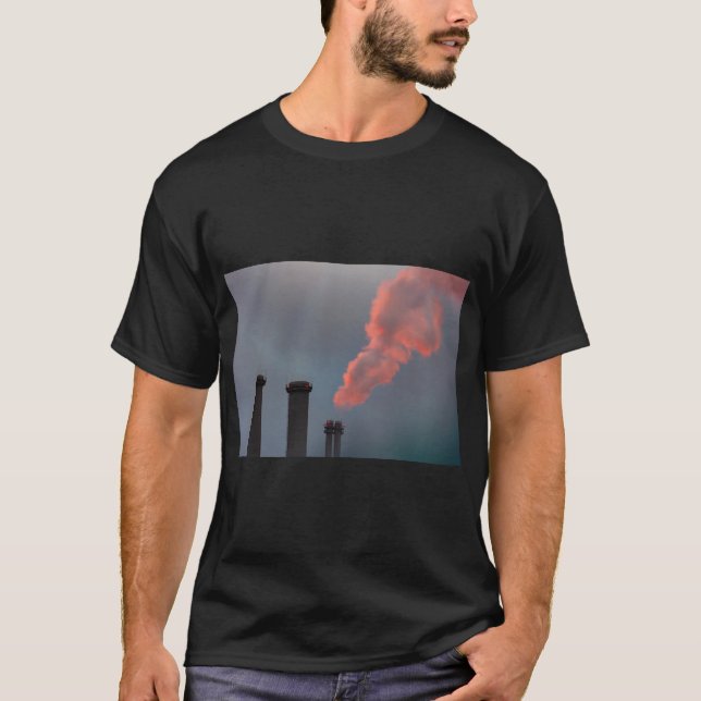 Camiseta Monte Fuji Japan Nature Tee (Frente)