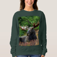 Moose Sweatshirt
