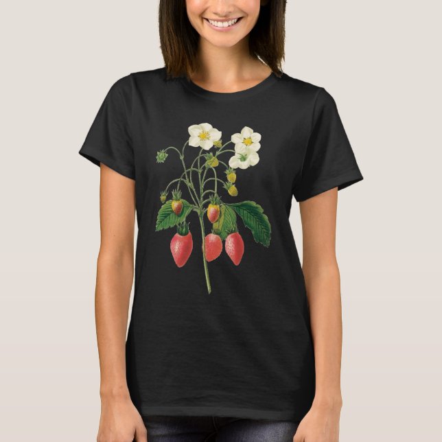 Camiseta Morangos Frutas-da-safra, por Redoute (Frente)