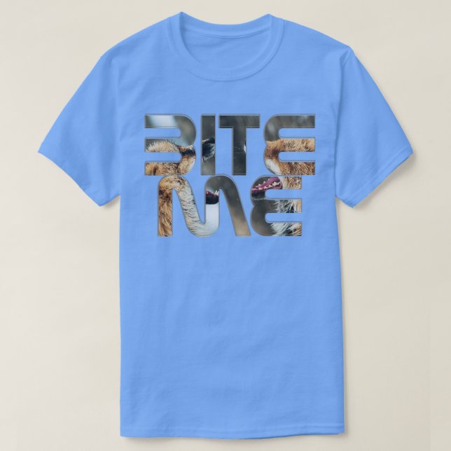 CAMISETA MORDE-ME (Frente do Design)