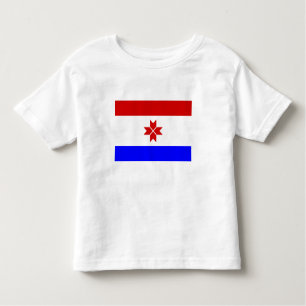 Camiseta Mordovia Flag
