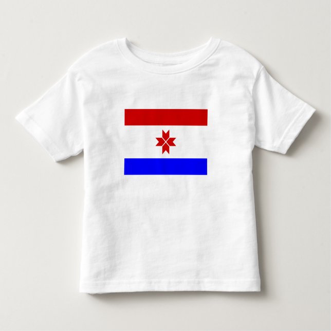 Camiseta Mordovia Flag (Frente)