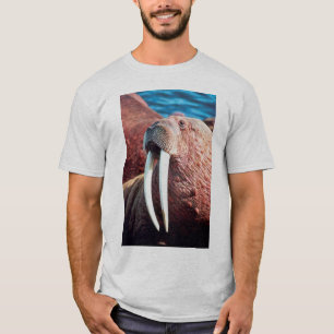 Camiseta Morsa