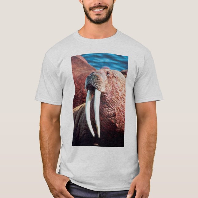 Camiseta Morsa (Frente)