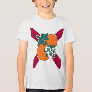 Camiseta Mostre suas cores - Flórida