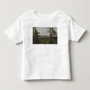 Camiseta Mt. Capa, Oregon - vista da montanha de distante