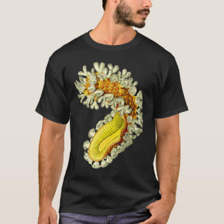 Camiseta Mucedo de Cristatella