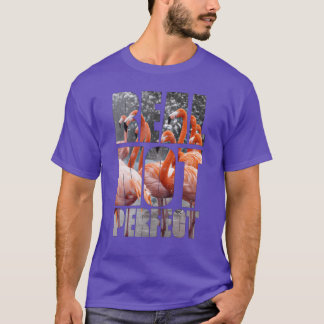 Camiseta Muito engraçada... citação de "Pássaros Flamingoró