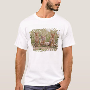 Camiseta Mulher do Swift Fox (Vulpes velox) com tenra idade