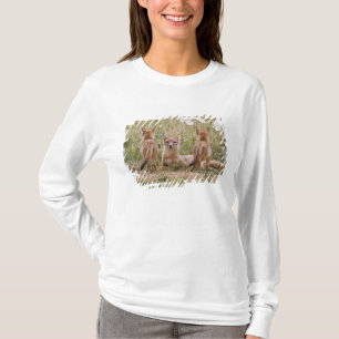 Camiseta Mulher do Swift Fox (Vulpes velox) com tenra idade