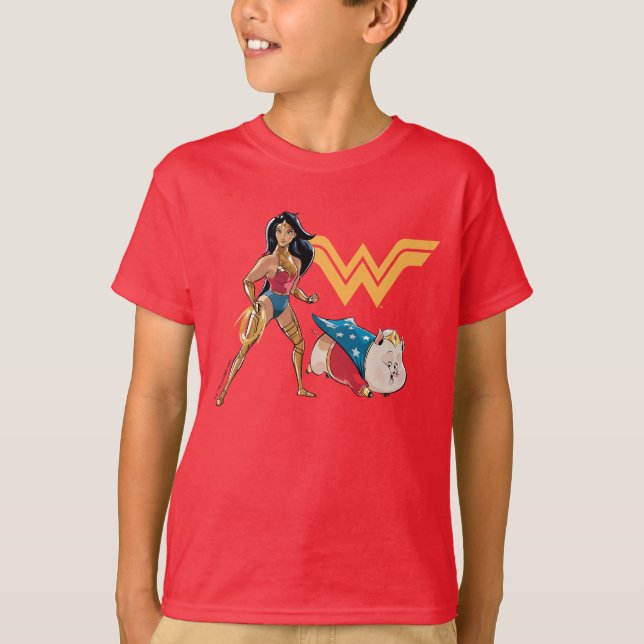Camiseta Mulher Maravilha e PB (Frente)