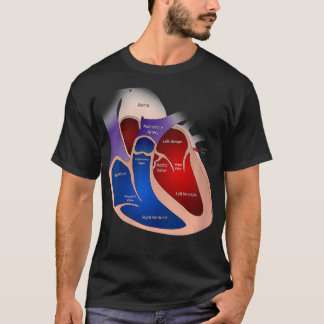 Camiseta Mulheres Anatomia cardíaca VNeck