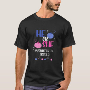 Camiseta Mulheres Que Ele Ou Ela Promoveram Para Abuela Rev