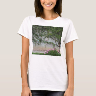 Camiseta Muro de Rosas Rosa, Florença, Itália