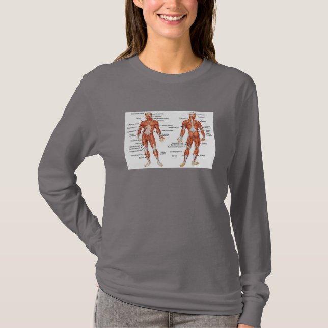 Camiseta Músculos Diagramas101 (Frente)