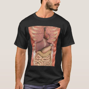 Camiseta Músculos Humanos Órgãos Anatomia Assustadora Hallo