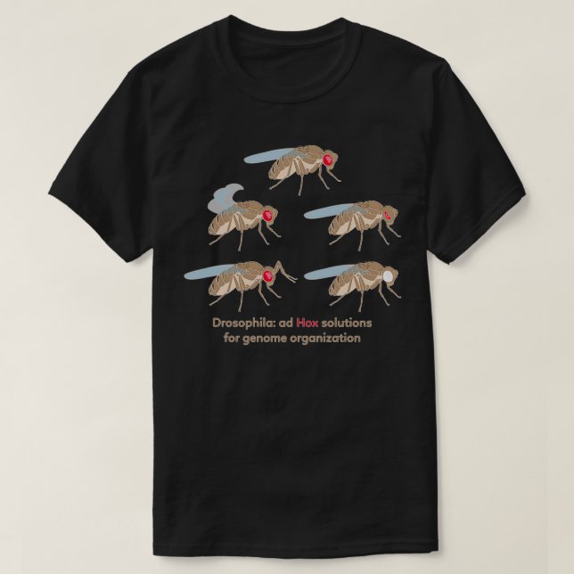 Camiseta Mutações Drosófilas e Soluções Hox para o Genoma O (Frente do Design)