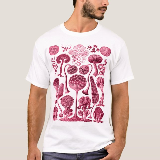 Camiseta Mycetozoa - Kunstformen der Nature (1904) por Erns (Frente)