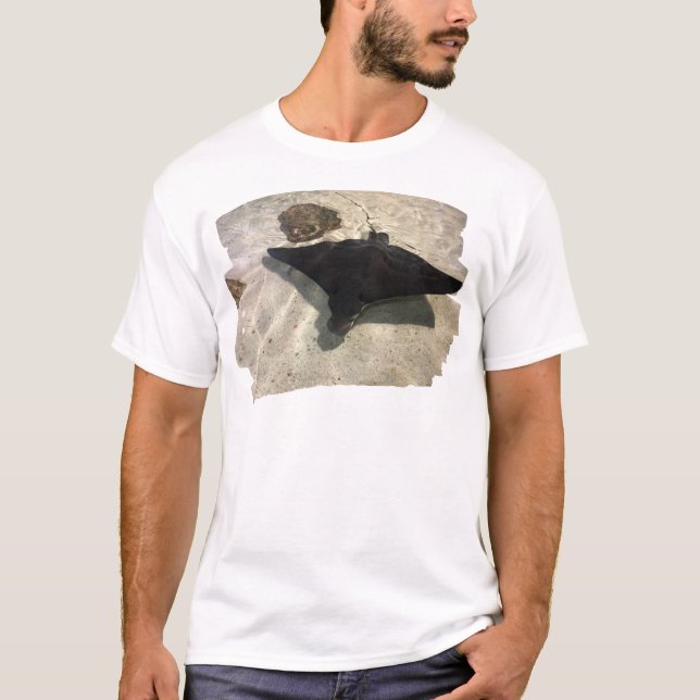 Camiseta Mystical Stingray (Frente)